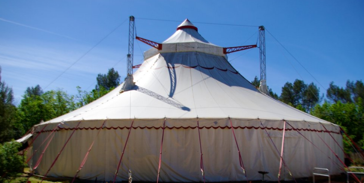 Spectacles de cirque, animation amusante, évènement scolaire 	